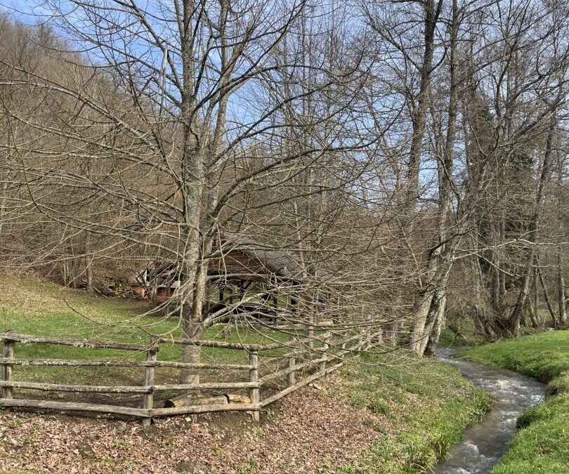 Obilježavanje Svjetskog dana voda